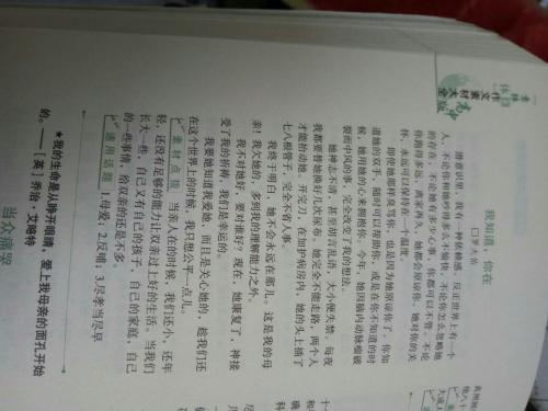 第三次讨论：在Platics_900字上