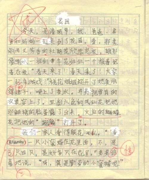 照片上的组成：照片中的人_700字