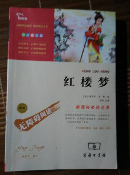 [2016年最终论文]阅读“红色豪宅的梦想”_1200字