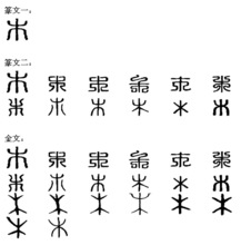 我们长大 - 查看照片展览_900字