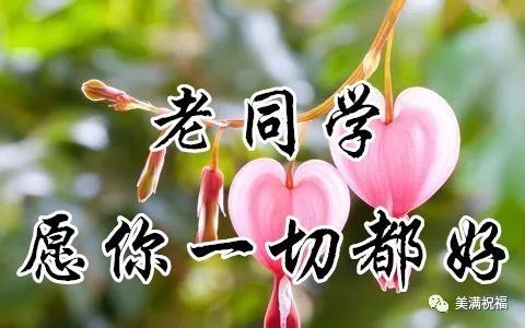 命运注定，幸福是你自己的_500字