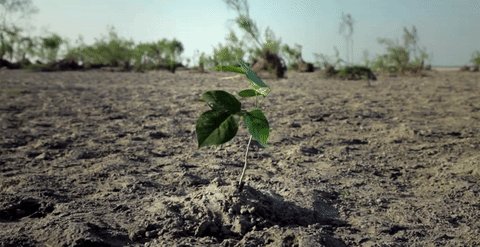 我一直在啄木鸟，我听到了“咚咚”的声音，我忍不住好奇，说：“这是什么做了？”啄木鸟飞进森林。但伍德堡刚刚看到这种场景是愤怒的。大树博博砍伐火山口的砍伐，“嘿”“哦”，“”叫这个，伐木男子专注于黑客，树木的痛苦是完全未知的。啄木鸟立即飞到了登录的人的头部，他用极点灯说：“这种木材必须有昆虫。”伐木人回答说：“是的，我在人民身上。”啄木鸟更生气：我的头上有一些烤，说：“你迷失了自己的兴趣和金钱，我不知道保护森林。”完成后，我丢失了伐木工底部的两个虫子。这是金钱和利益。啄木鸟迅速吃了这两个虫子。伐木人唤醒并为自己的行为道歉。快点和赶走森林。