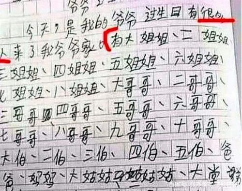 我是最令人难忘的小学老师_600字