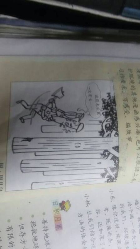 这块木材必须有昆虫_900字