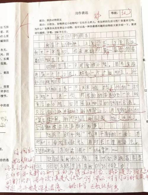 高中测试组成：简单的爱_1200字