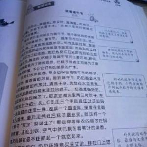 高中试验组成：家乡的龙舟节_450字