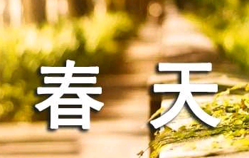 远近_900字