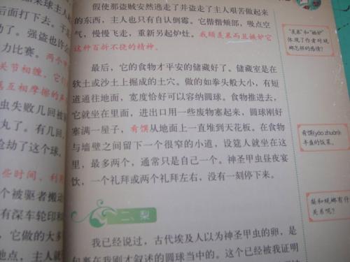 阅读后的“昆虫”阅读_800字后