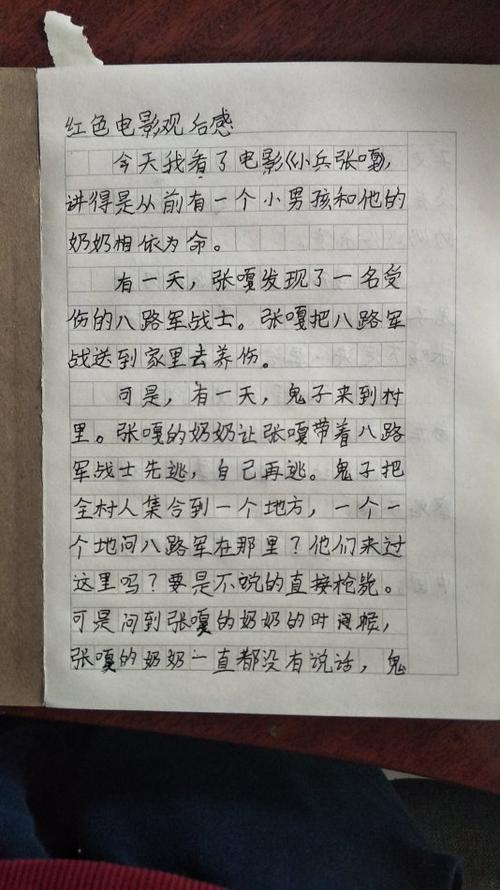 小士兵张嘉致会感受到_550字