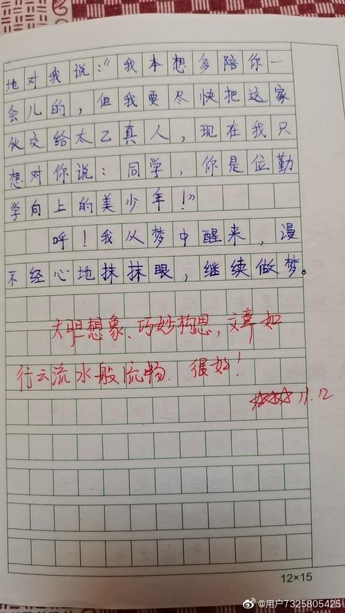 我的兄弟_350字