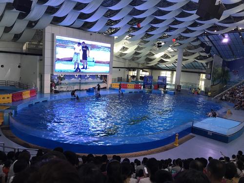 合肥水族馆