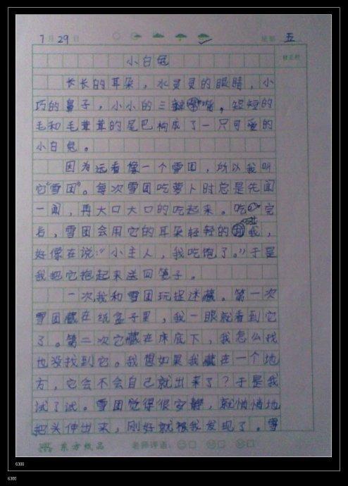 我喜欢新的一年_1000字