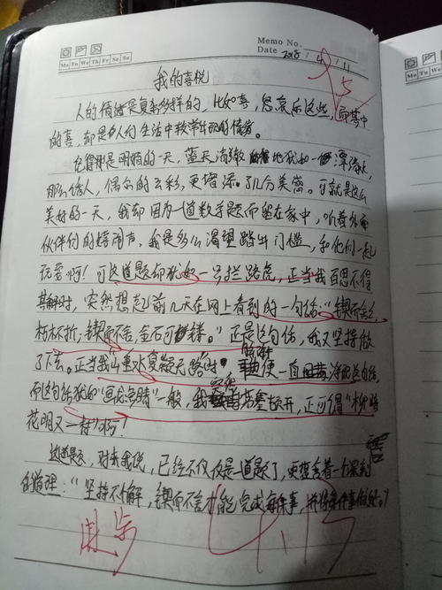 我想成为领导者的第一天_350字