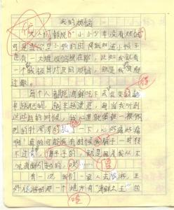 我的烦恼 -  300个字