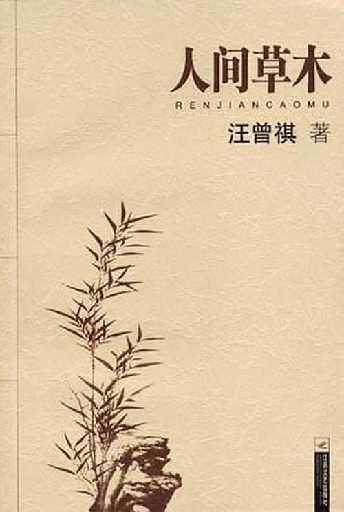 人类草_900字