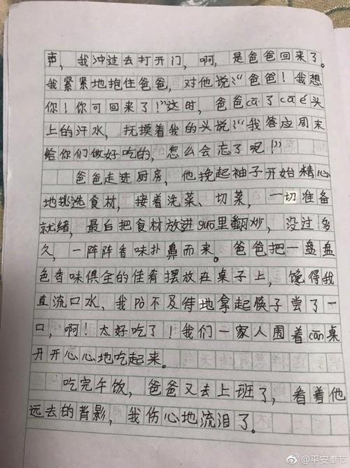 关于爸爸的作品：取代父亲_800字