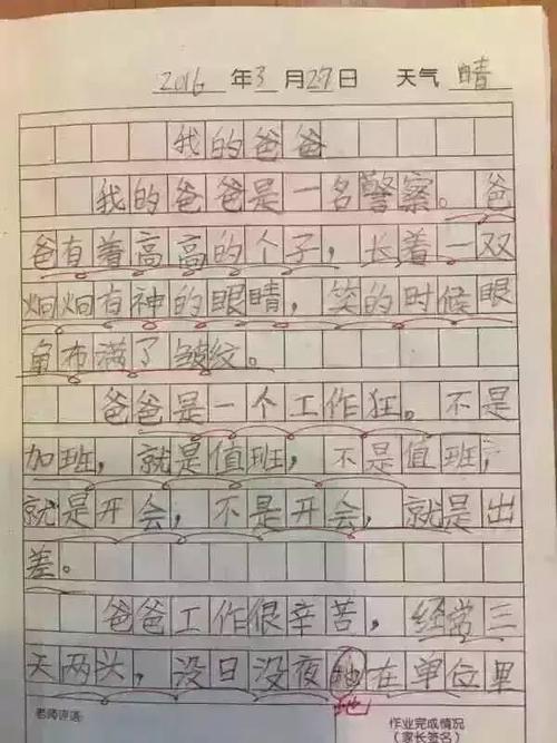 关于爸爸的作文：爸爸，我将无法_1000字