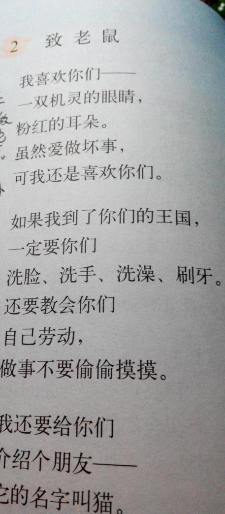 关于爸爸的作品：爸爸，我在等你_900字