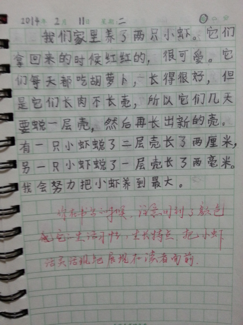 撤退_100字