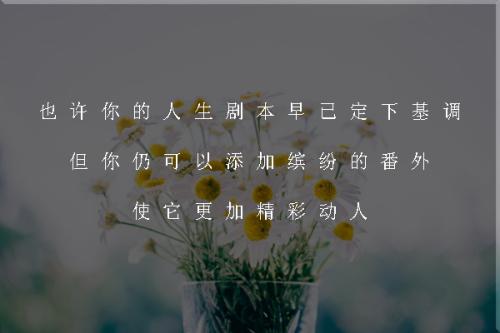 顽皮的光雨点_200字