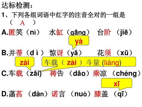 初中新课程标签