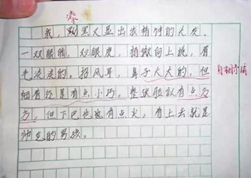 我只属于我的精彩_1000字