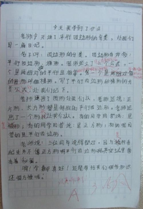 公共福利活动日记_1200字