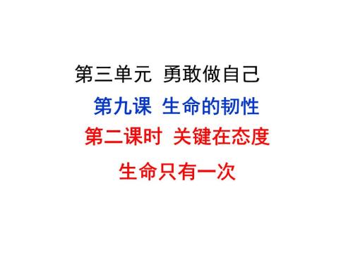 生命只有一次_250字