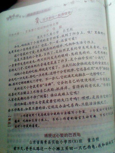 为什么_200字