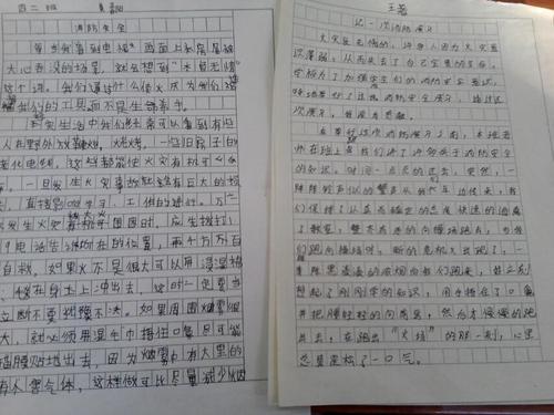 网络_800字