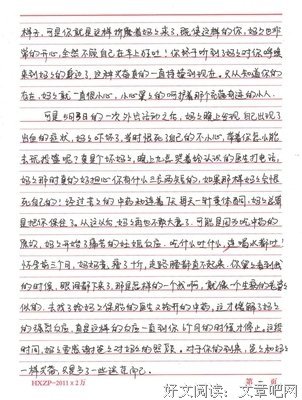 写给母亲的一封信2_400字