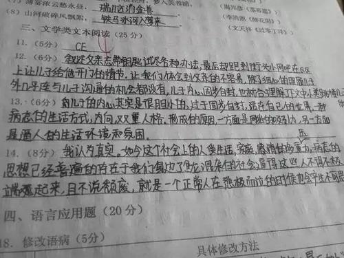 高考，美丽的痛苦_1500字