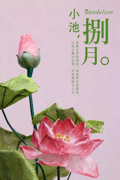 那些年，鲜花不能下降_3000字