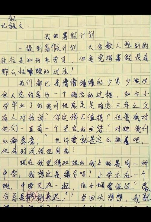 书法_500字