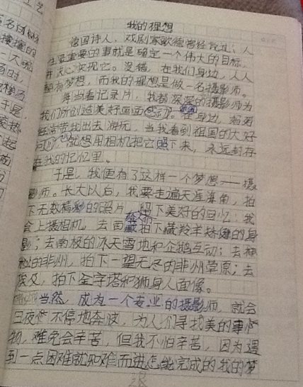 关于理想_1200字