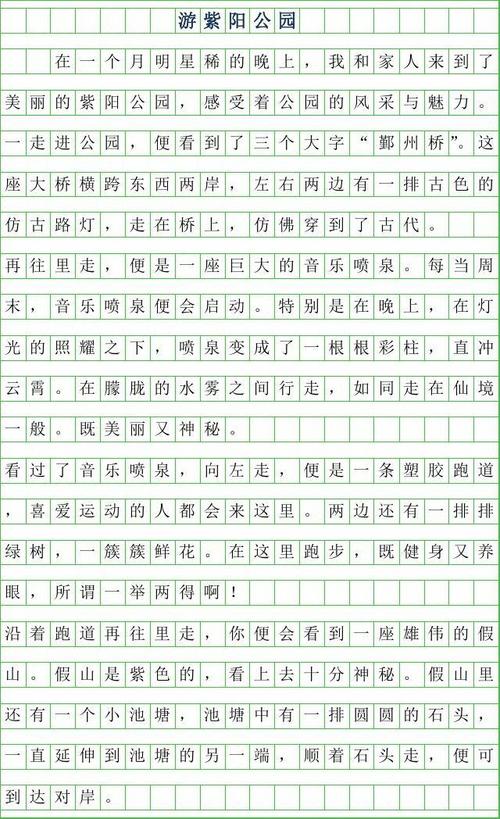 写作作文：在雨中_800字