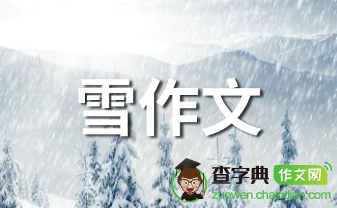 单位成分：雪球_500字