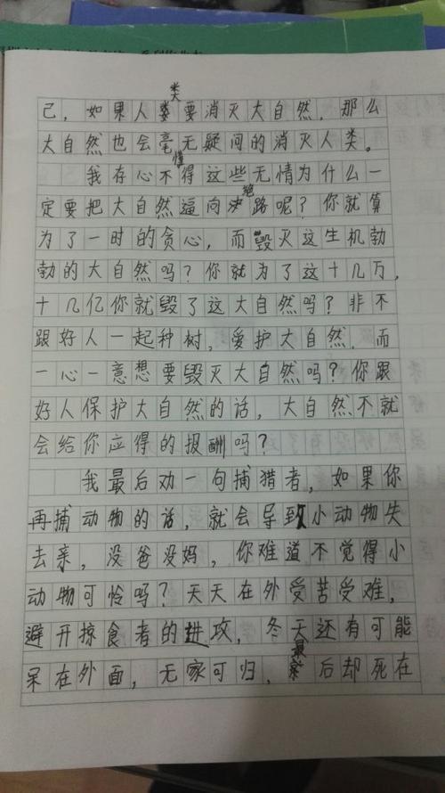 Carda_250字中的一封信