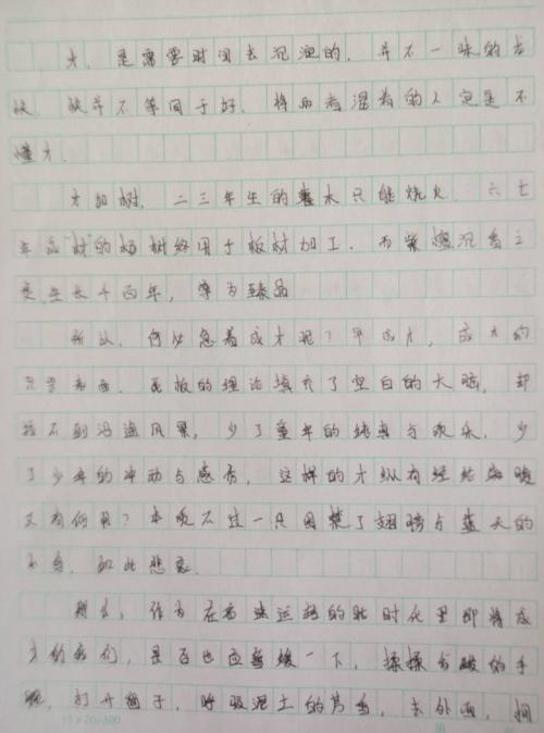 [夏季论文]西瓜味暑假_800字