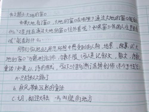 关于你姐姐的作文：品尝水中的灵魂_800字