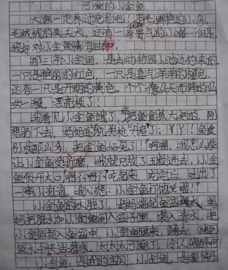 我的家人_700字