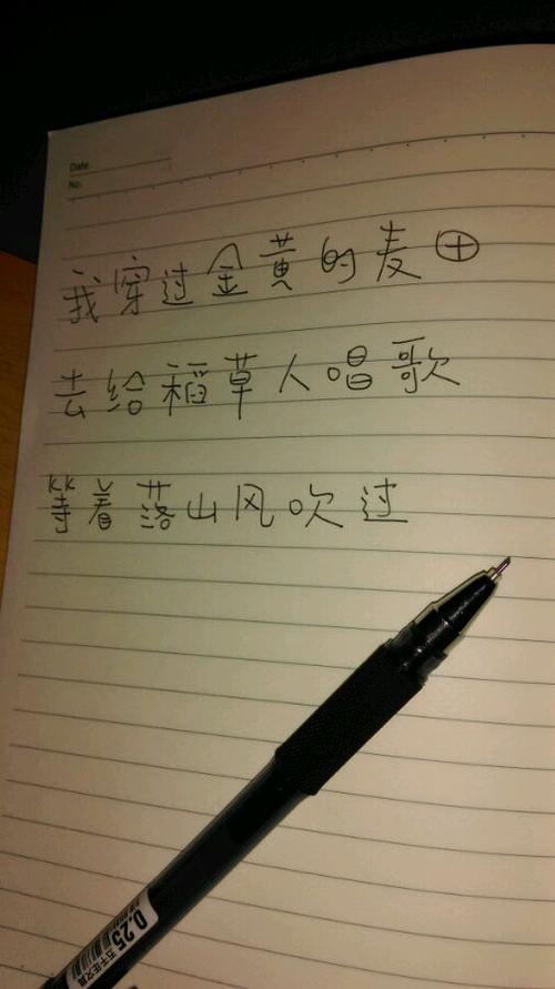 一个o  - 进入城市_900字