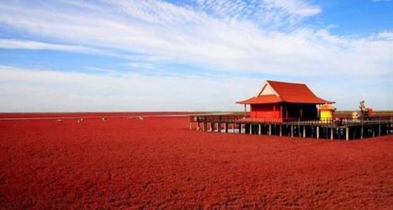 家乡的风景 - 红色海滩_250字