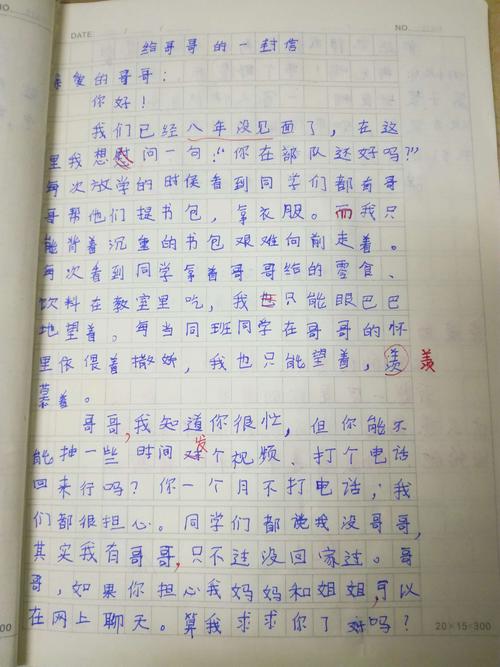 给你的兄弟的信_250字