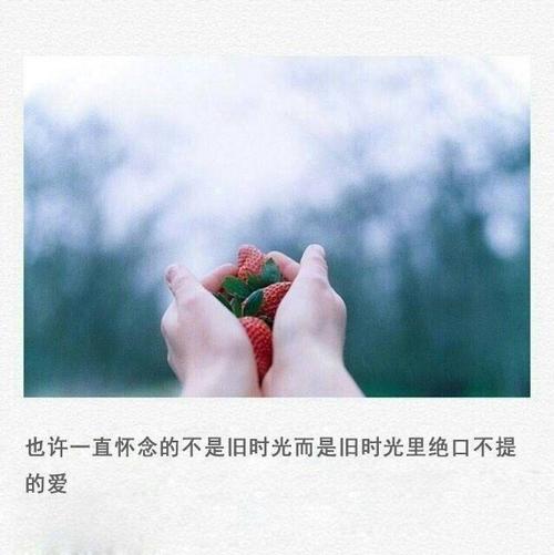 讨厌，不要讨厌_50字