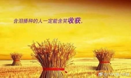 我记得这样的事情：一个人患有严重疾病，今天仍然不会治愈。他的痛苦必须每天都描述！但他与疾病顽强！我还记得，当他不能走路时;我还记得他尴尬的时候;我还记得，当他无法呼吸时，他仍然顽强地战斗;他仍然笑着说“等我回去”！但是，他从未扮演命运，虽然他也赢得了美妙的明天！当人们沉浸在新年快乐的鞭炮中时，他闭上眼睛，就像通常睡着了，但不是，他不能醒来，他将永远离开我们！我们每个人的痛苦都无法表达它。然而，当我们包含眼泪的照片时，他的阳光微笑似乎告诉我们：“别为我悲伤，虽然我会永远离开你，但我努力工作，我没有生病。后悔，我很遗憾因为我努力工作！“虽然他离开了我们，但他将永远拥有他的心，他激励我！”他就像一只草，他是顽强的，他渴望勇敢！我想，我不应该哭对他来说，因为他现在急于在另一个美丽的世界中重新开始！我应该默默地祝福他！