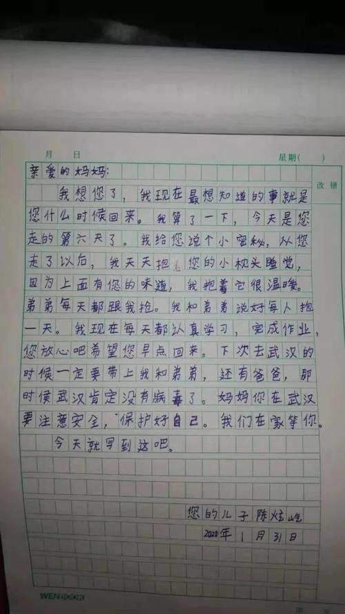 写给母亲的信_250字