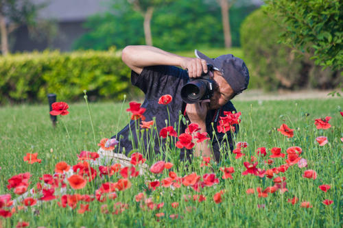 “现在请参考蝴蝶的一侧！”