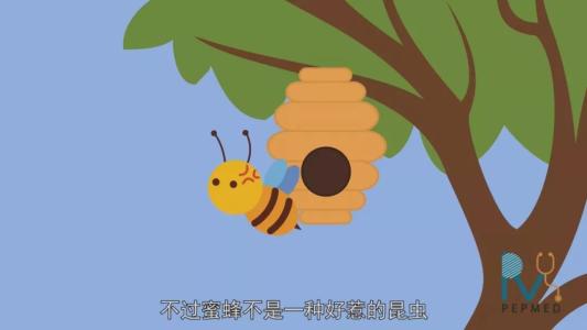 花蝴蝶和小蜜蜂_500字