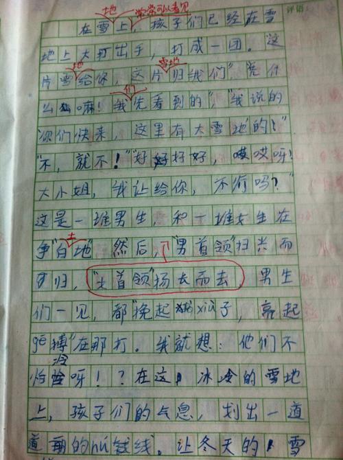 一年级日记：包装_100字